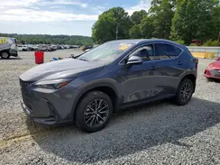 2T2GDCAZ0RC013668 2024 LEXUS NX