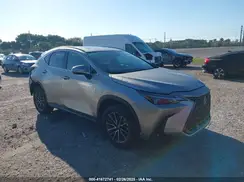 2T2GDCAZ0SC017810 2025 LEXUS NX