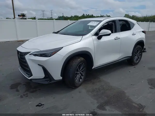 2T2GDCAZ0SC029519 2025 LEXUS NX - Image 2