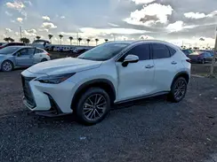 2T2GDCAZ0SC031139 2025 LEXUS NX