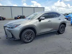 2T2GDCAZ1RC011010 2024 LEXUS NX