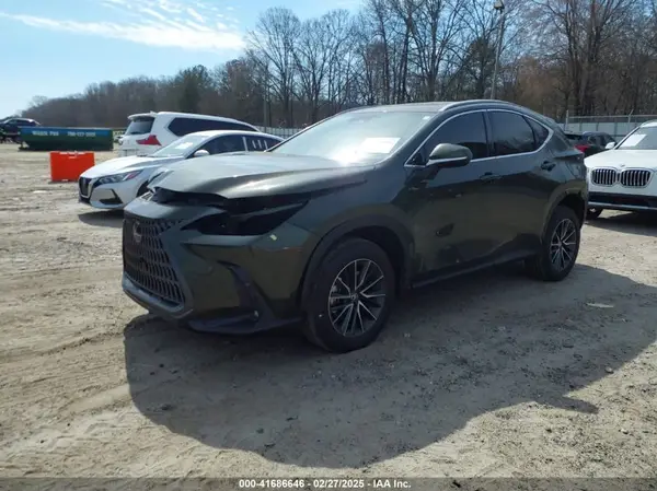 2T2GDCAZ1RC015929 2024 LEXUS NX - Image 2