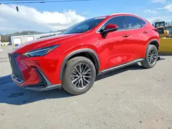 2T2GDCAZ2PC004662 2023 LEXUS NX