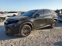 2T2GDCAZ2RC008648 2024 LEXUS NX