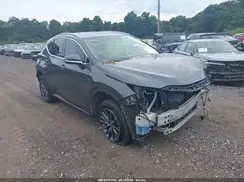 2T2GDCAZ3PC003469 2023 LEXUS NX