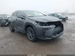 2T2GDCAZ3PC005691 2023 LEXUS NX