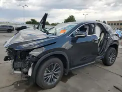 2T2GDCAZ3PC005772 2023 LEXUS NX