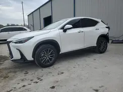 2T2GDCAZ3RC006908 2024 LEXUS NX