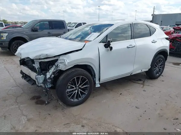2T2GDCAZ4RC012085 2024 LEXUS NX - Image 2