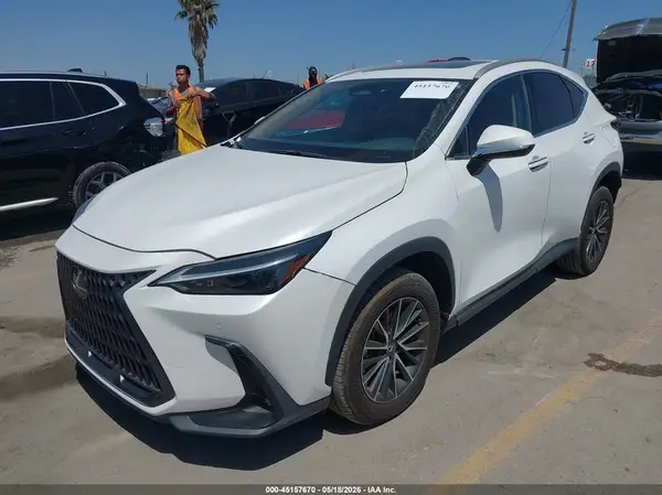 2T2GDCAZ4RC012524 2024 LEXUS NX - Image 2
