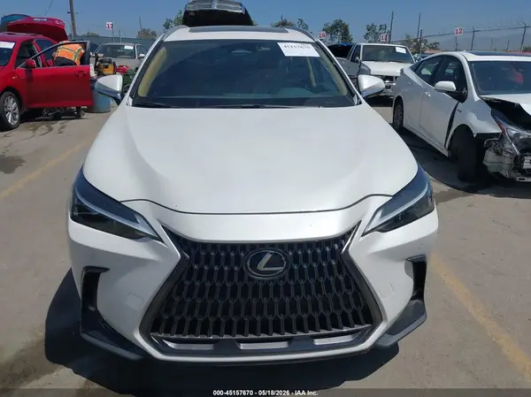 2024 LEXUS NX auction photo 6