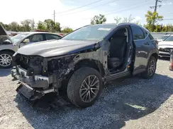 2T2GDCAZ4SC021438 2025 LEXUS NX