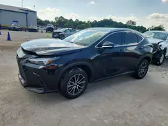 2T2GDCAZ4SC024470 2025 LEXUS NX