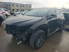 2T2GDCAZ4SC029278 2025 LEXUS NX