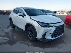 2T2GDCAZ5RC014945 2024 LEXUS NX