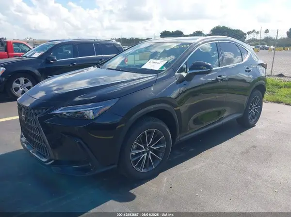 2T2GDCAZ5SC024431 2025 LEXUS NX - Image 2