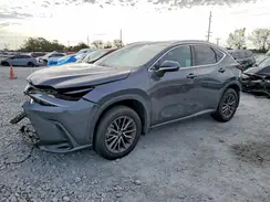 2T2GDCAZ6RC007308 2024 LEXUS NX