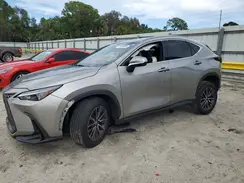 2T2GDCAZ6RC011391 2024 LEXUS NX