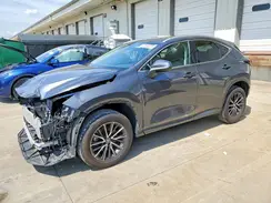 2T2GDCAZ6RC013481 2024 LEXUS NX