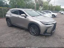 2T2GDCAZ6SC029038 2025 LEXUS NX