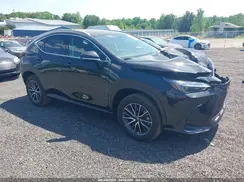2T2GDCAZ7SC024222 2025 LEXUS NX