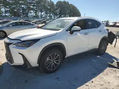 2T2GDCAZ7SC027508 2025 LEXUS NX