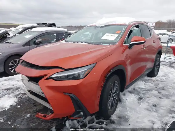 2T2GDCAZ8PC003435 2023 LEXUS NX - Image 2