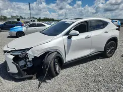 2T2GDCAZ8RC009061 2024 LEXUS NX
