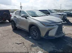 2T2GDCAZ8RC015524 2024 LEXUS NX