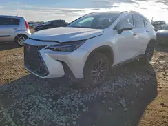 2T2GDCAZ8RC015751 2024 LEXUS NX