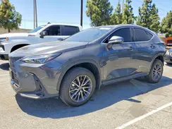 2T2GDCAZ8SC031583 2025 LEXUS NX