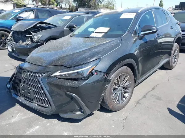 2T2GDCAZ9RC008744 2024 LEXUS NX - Image 2