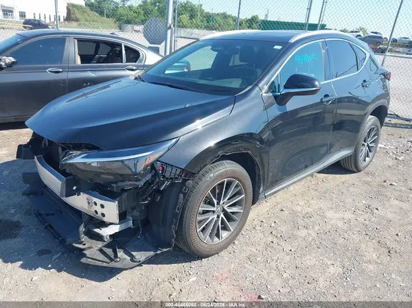 2T2GDCAZXRC011359 2024 LEXUS NX - Image 2