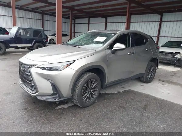 2T2GDCAZXRC012396 2024 LEXUS NX - Image 2