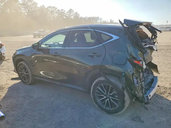 2T2GDCAZXRC014391 2024 LEXUS NX - Image 2