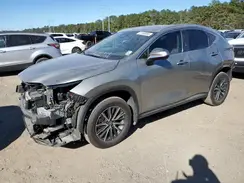 2T2GDCAZXSC017202 2025 LEXUS NX