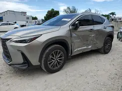 2T2GDCAZXSC020553 2025 LEXUS NX