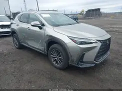 2T2GGCEZ0PC017413 2023 LEXUS NX