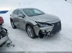 2T2GGCEZ0PC021588 2023 LEXUS NX