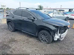 2T2GGCEZ0PC028914 2023 LEXUS NX