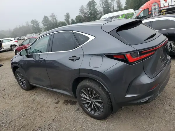 2T2GGCEZ0PC030100 2023 LEXUS NX - Image 2