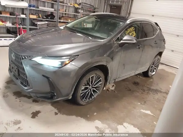 2T2GGCEZ0PC030629 2023 LEXUS NX - Image 2