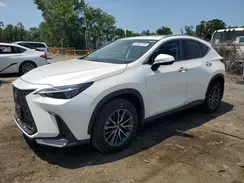 2T2GGCEZ0RC056702 2024 LEXUS NX