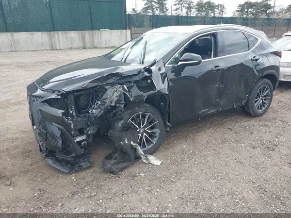 2T2GGCEZ0RC059809 2024 LEXUS NX - Image 2