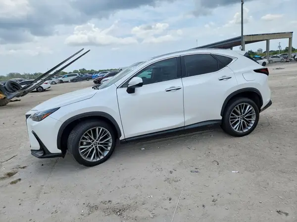 2T2GGCEZ0SC066295 2025 LEXUS NX - Image 1