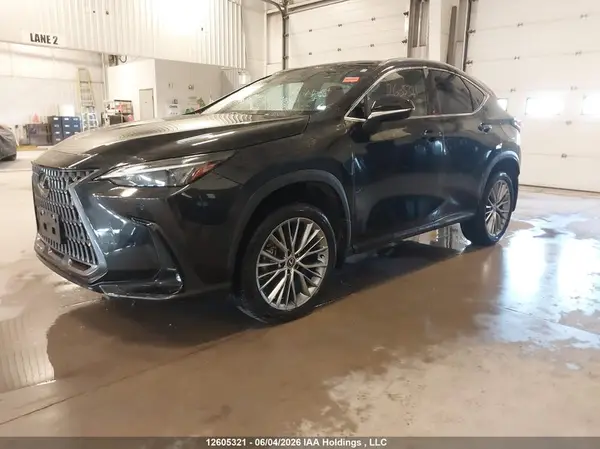 2T2GGCEZ0SC069181 2025 LEXUS NX - Image 2