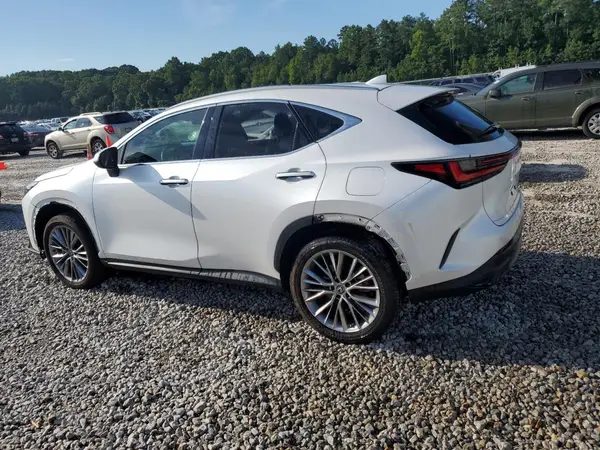 2T2GGCEZ1NC006224 2022 LEXUS NX - Image 2