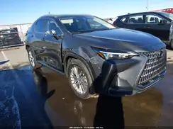2T2GGCEZ1PC016173 2023 LEXUS NX