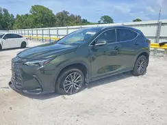 2T2GGCEZ1RC046129 2024 LEXUS NX