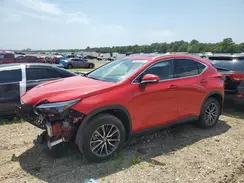 2T2GGCEZ1RC047720 2024 LEXUS NX